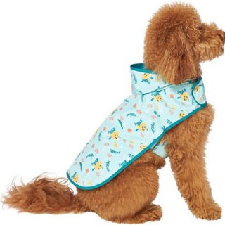 Disney Flounder Print Dog & Cat Raincoat, X-Small