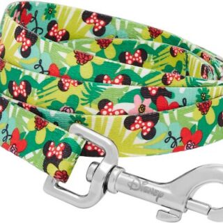 Disney Minnie Hawaiian Dog Leash, MD - Length: 6-ft, Width: 3/4-in