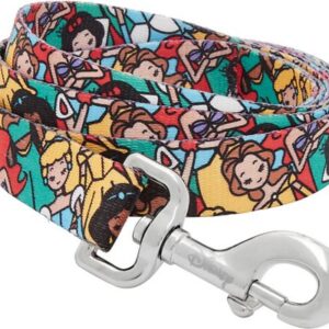 Princess Dog Leash, LG - Length: 6-ft, Width: 1-in