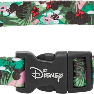 Disney Mickey Hawaiian Dog Collar, SM - Neck: 10 - 14-in, Width: 5/8-in