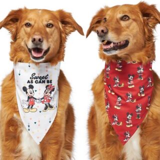 Disney Mickey Mouse & Minnie Mouse "Sweet As Can Be" Reversible Dog & Cat Bandana, X-Small/Small