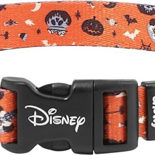 Disney Minnie Mouse Halloween Dog Collar, Small, Neck: 10 to 14 in, Width: 5/8-in