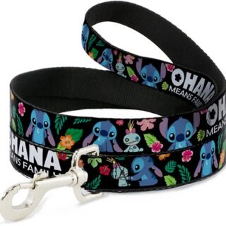 Buckle-Down Lilo & Stitch Ohana Means Family Polyester Standard Dog Leash, Small: 4-ft long, 1-in wi