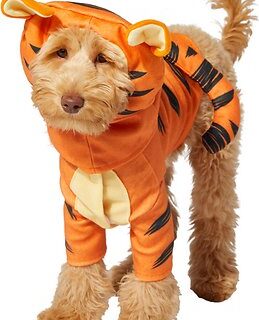 Rubie's Costume Company Tigger Dog Costume, Medium