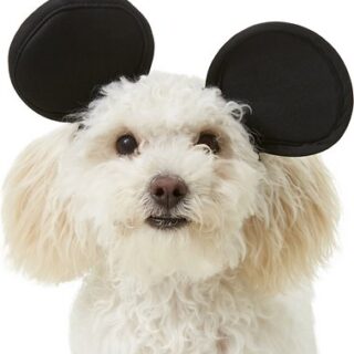 Rubie's Costume Company Mickey Mouse Ears Dog & Cat Costume, Small/Medium