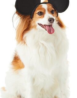 Rubie's Costume Company Mickey Mouse Ears Dog & Cat Costume, Medium/Large