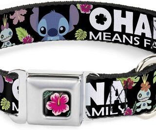 Buckle-Down Lilo & Stitch Hibiscus Flower Polyester Dog Collar, Small: 9 to 15-in neck, 1-in wide