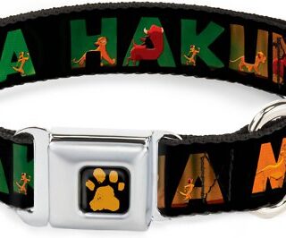 Buckle-Down Lion King Hakuna Matata Polyester Dog Collar, Medium: 11 to 16.5-in neck, 1-in wide