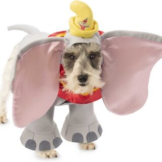 Rubie's Costume Company Dumbo Dog & Cat Costume, Small