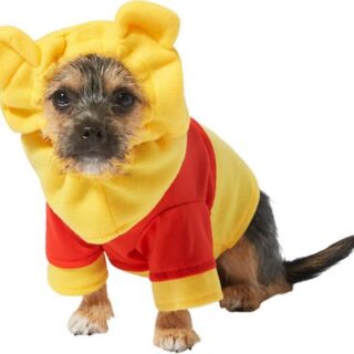 Rubie's Costume Company Pooh Dog Costume, Small