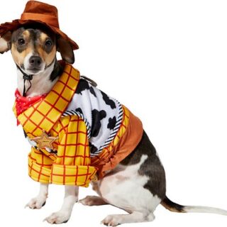 Rubie's Costume Company Toy Story Woody Dog Costume, Medium