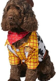 Rubie's Costume Company Toy Story Woody Dog Costume, Large