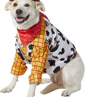 Rubie's Costume Company Toy Story Woody Dog Costume, X-Large