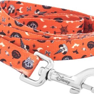 Disney Minnie Mouse Halloween Dog Leash, Small, Length: 6-ft, Width: 5/8-in