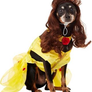 Rubie's Costume Company Belle Disney Princess Dog & Cat Costume, Medium