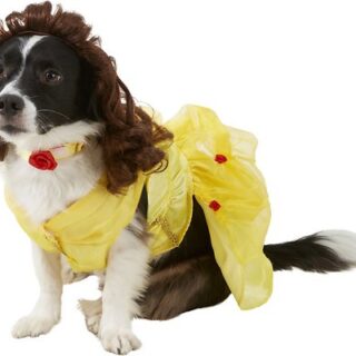 Rubie's Costume Company Belle Disney Princess Dog & Cat Costume, Large