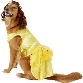 Rubie's Costume Company Belle Disney Princess Dog & Cat Costume, X-Large