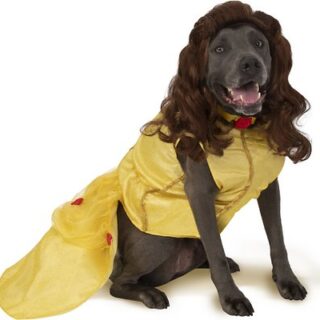 Rubie's Costume Company Belle Disney Princess Dog & Cat Costume, XX-Large