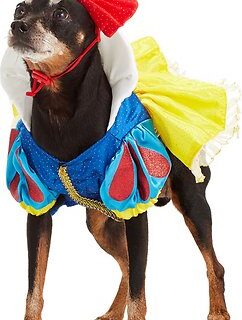 Rubie's Costume Company Snow White Disney Princess Dog & Cat Costume, Small