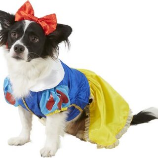 Rubie's Costume Company Snow White Disney Princess Dog & Cat Costume, Large