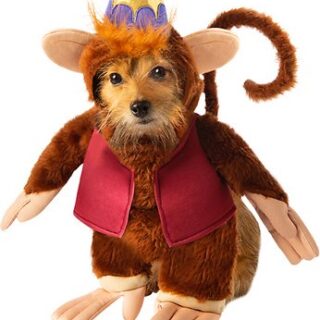 Rubie's Costume Company Aladdin Abu Dog & Cat Costume, Small