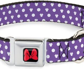 Buckle-Down Minnie Mouse Bow Polyester Dog Collar, Small: 9 to 15-in neck, 1-in wide