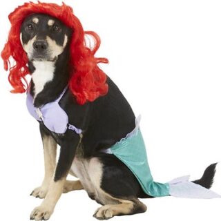 Rubie's Costume Company Ariel Disney Princess Dog & Cat Costume, Large