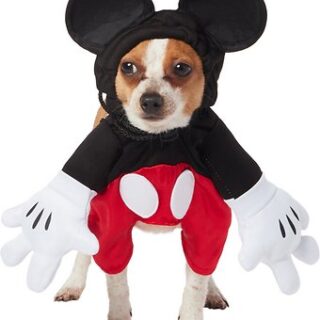 Rubie's Costume Company Walking Mickey Mouse Dog & Cat Costume, Small