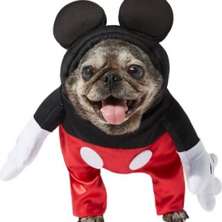 Rubie's Costume Company Walking Mickey Mouse Dog & Cat Costume, Medium