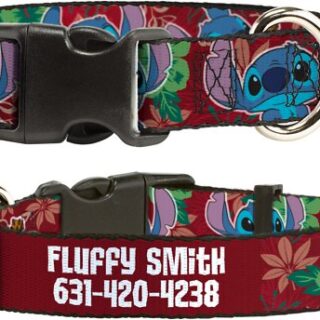 Buckle-Down Disney Lilo & Stitch Expressions Tropical Flora Personalized Dog Collar, Large