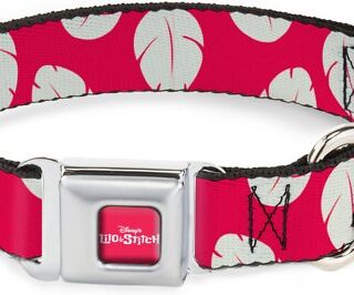 Buckle-Down Disney Lilo & Stitch Polyester Dog Collar, Small: 9 to 15-in neck, 1-in wide