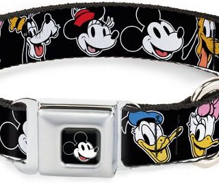 Buckle-Down Mickey Mouse Smiling Face Polyester Dog Collar, Small: 9 to 15-in neck, 1-in wide