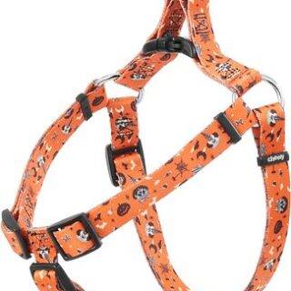 Disney Minnie Mouse Halloween Dog Harness, Extra Small, Girth: 12 to 18-in, Width: 5/8-in