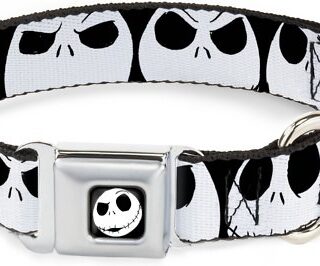 Buckle-Down Nightmare Before Christmas Jack Expressions Polyester Dog Collar, Large: 15 to 26-in neck, 1-in wide