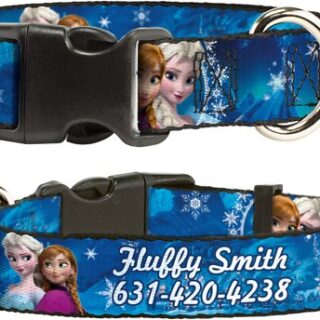 Buckle-Down Disney Frozen Anna & Elsa Poses & Castle & Mountains Polyester Personalized Dog Collar, Small