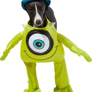 Rubie's Costume Company Monsters, Inc. Mike Dog Costume, Medium