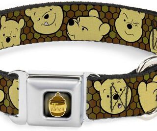 Buckle-Down Winnie the Pooh Expressions Polyester Dog Collar, Small: 9.5 to 13-in neck, 1-in wide