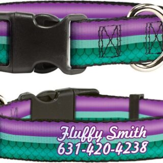 Buckle-Down Disney Little Mermaid Stripe & Shell Polyester Personalized Dog Collar, Large