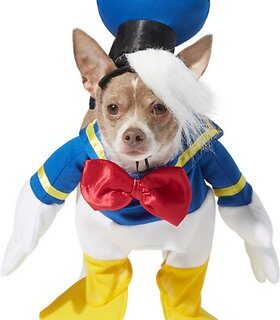 Rubie's Costume Company Walking Donald Duck Dog Costume, Small