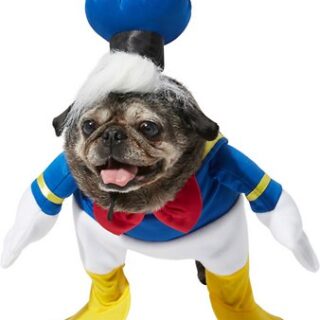 Rubie's Costume Company Walking Donald Duck Dog Costume, Medium