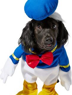 Rubie's Costume Company Walking Donald Duck Dog Costume, Large