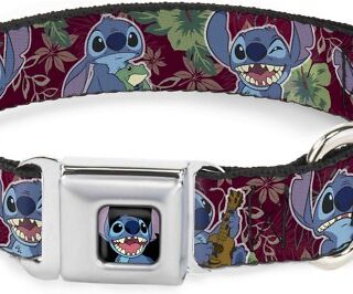 Buckle-Down Lilo & Stitch 6-Expressions Tropical Flora Polyester Dog Collar, Small: 9.5 to 13-in neck, 1-in wide