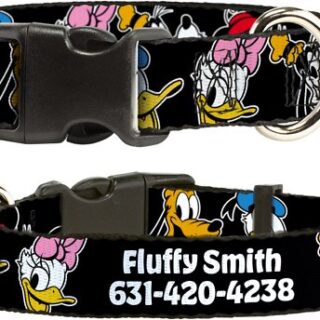 Buckle-Down Disney The Sensational Six Smiling Faces Polyester Personalized Dog Collar, Small