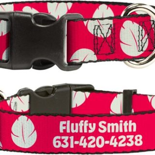 Buckle-Down Disney Lilo & Stitch Bounding Lilo Dress Leaves Polyester Personalized Dog Collar, Small