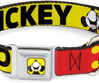 Buckle-Down Mickey Smiling Up Pose Polyester Dog Collar, Small: 9 to 15-in neck, 1-in wide