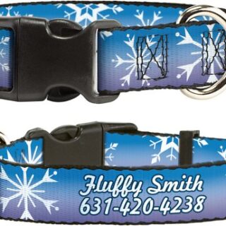 Buckle-Down Disney Frozen II Snowflakes Polyester Personalized Dog Collar, Medium