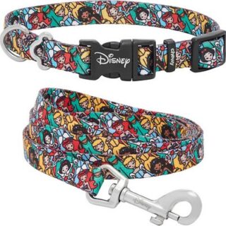 Disney Princess Collar + Dog Leash