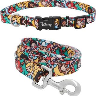 Disney Princess Collar + Dog Leash