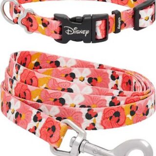 Disney Minnie Mouse Floral Collar + Dog Leash