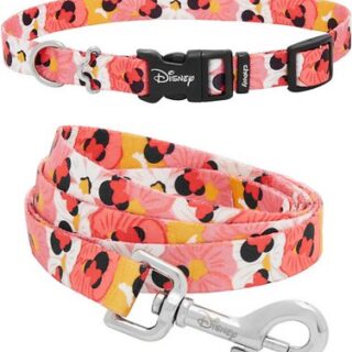 Disney Minnie Mouse Floral Collar + Dog Leash Medium